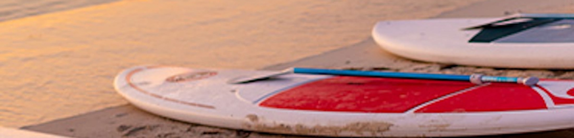 Sunrise Paddle Board