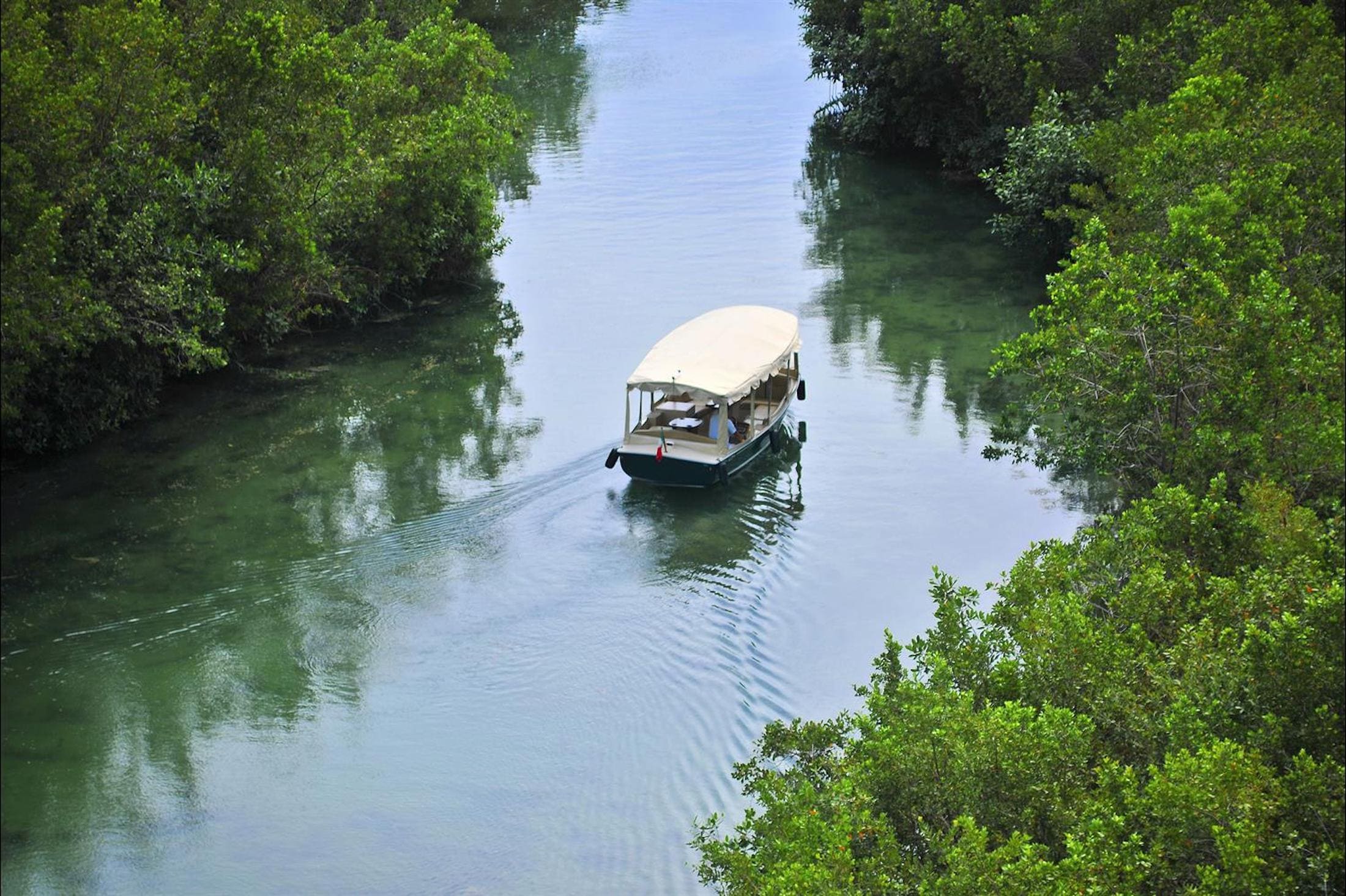 A riverboat surrounded by tropical greenery.