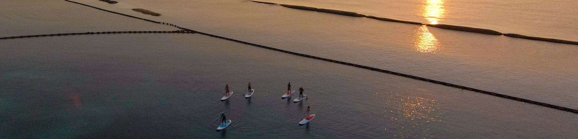 The sun setting over the ocean