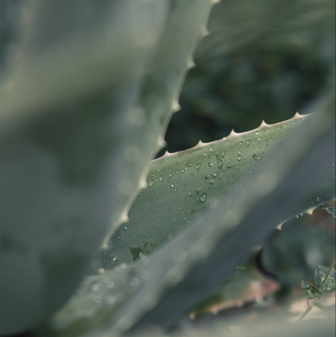 20th anniversary spa treatments