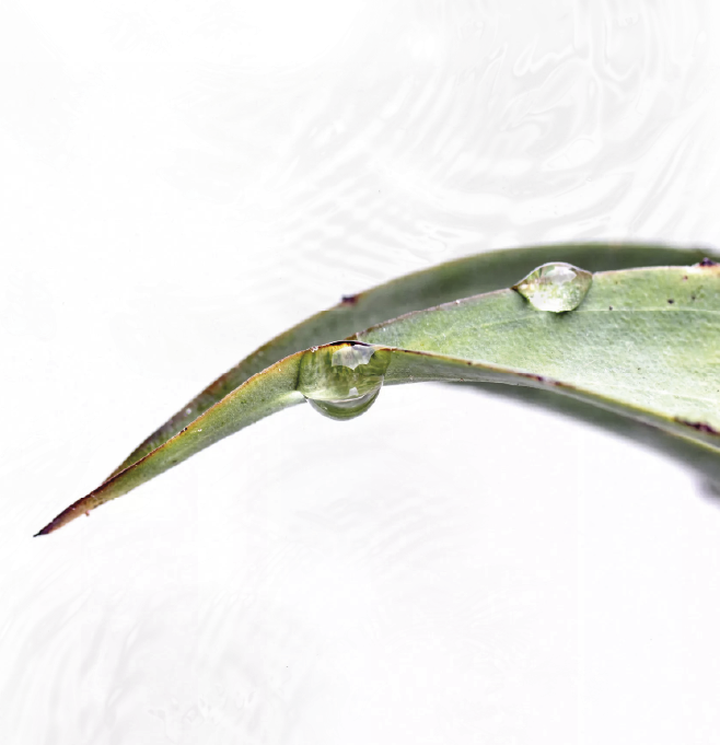 20th anniversary spa treatments